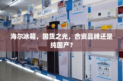 海尔冰箱，国货之光，合资品牌还是纯国产？
