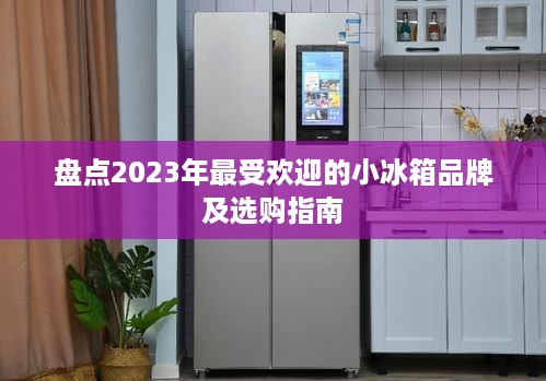 盘点2023年最受欢迎的小冰箱品牌及选购指南