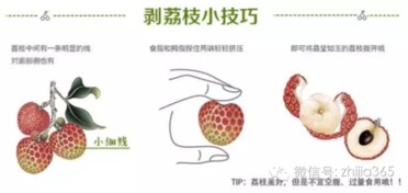 羊小咩便荔卡提现手术费详解