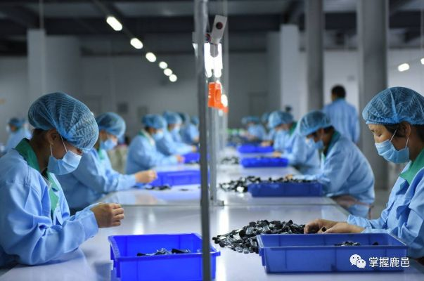 鹿邑县卫生巾厂，本土品牌的崛起与市场攻略