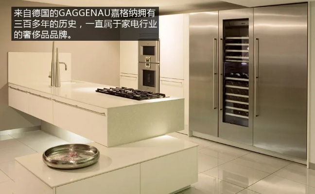 盘点贵妇冰箱品牌，奢华生活从此开启