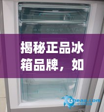 揭秘正品冰箱品牌，如何辨别真伪，选购放心家电