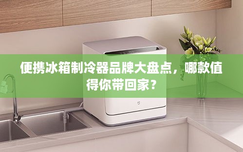 便携冰箱制冷器品牌大盘点，哪款值得你带回家？