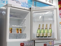揭秘历史，哪个冰箱品牌最早出品，带你穿越时光隧道