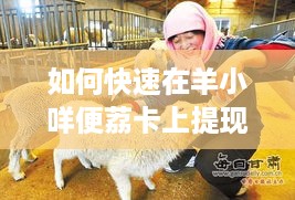 如何快速在羊小咩便荔卡上提现
