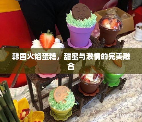 韩国火焰蛋糕，甜蜜与激情的完美融合