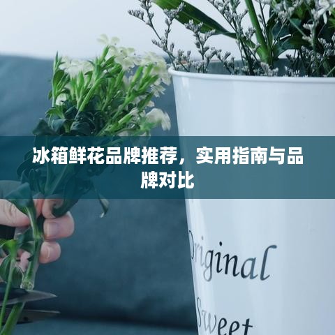 冰箱鲜花品牌推荐，实用指南与品牌对比