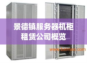 景德镇服务器机柜租赁公司概览