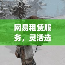 网易租赁服务，灵活选择服务器的便捷之道