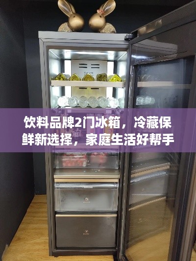 饮料品牌2门冰箱，冷藏保鲜新选择，家庭生活好帮手