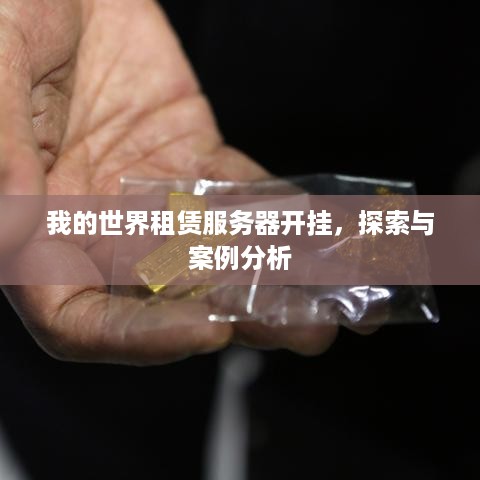 我的世界租赁服务器开挂，探索与案例分析