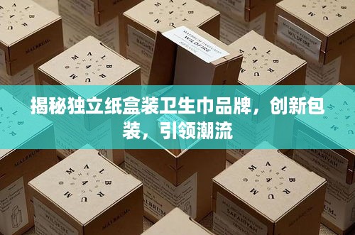 揭秘独立纸盒装卫生巾品牌，创新包装，引领潮流