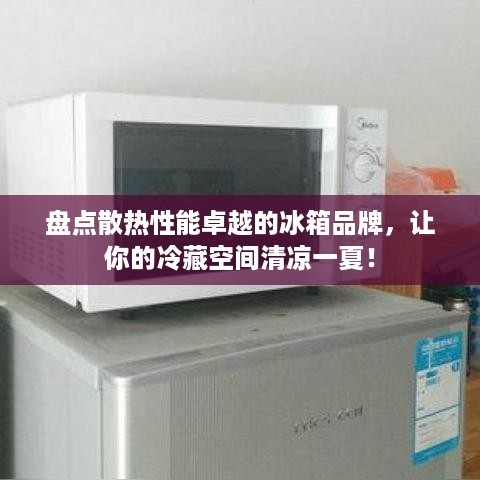盘点散热性能卓越的冰箱品牌，让你的冷藏空间清凉一夏！