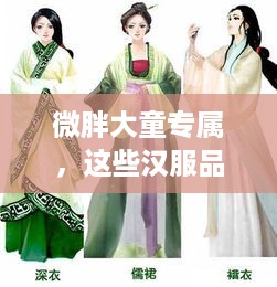 微胖大童专属，这些汉服品牌让你穿出自信风采！