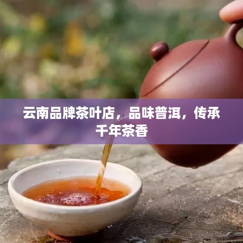 云南品牌茶叶店，品味普洱，传承千年茶香