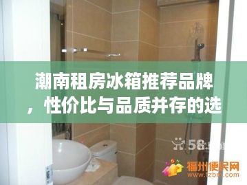 潮南租房冰箱推荐品牌，性价比与品质并存的选择