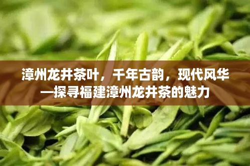 漳州龙井茶叶，千年古韵，现代风华—探寻福建漳州龙井茶的魅力