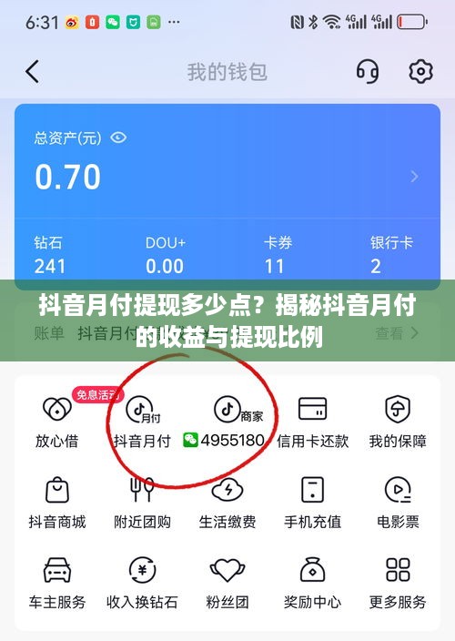 抖音月付提现多少点？揭秘抖音月付的收益与提现比例