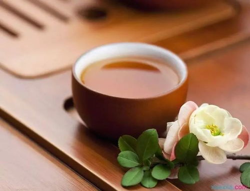 茶叶品牌文化构建，从传统到现代的传承与创新