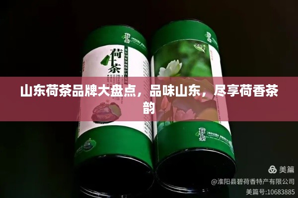 山东荷茶品牌大盘点，品味山东，尽享荷香茶韵