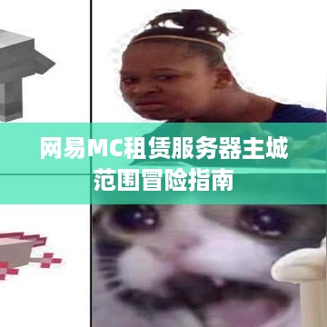 网易MC租赁服务器主城范围冒险指南