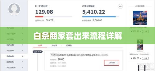 白条商家套出来流程详解