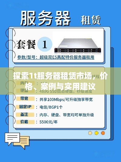 探索1t服务器租赁市场，价格、案例与实用建议