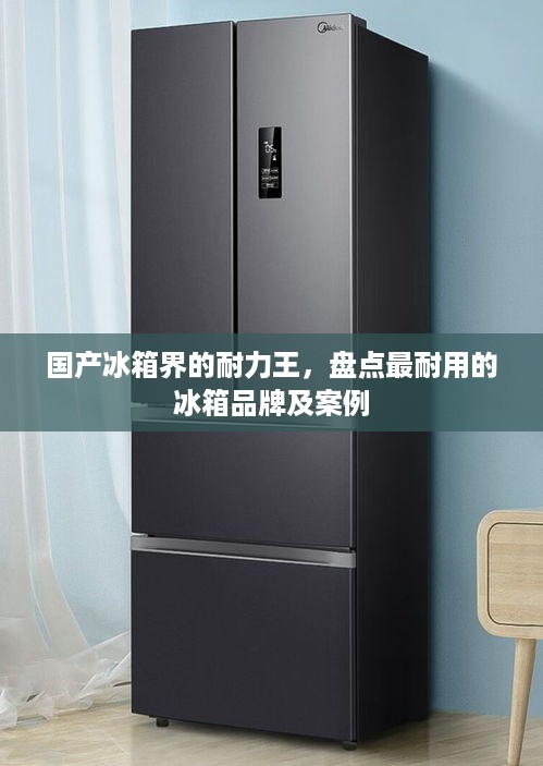 国产冰箱界的耐力王，盘点最耐用的冰箱品牌及案例