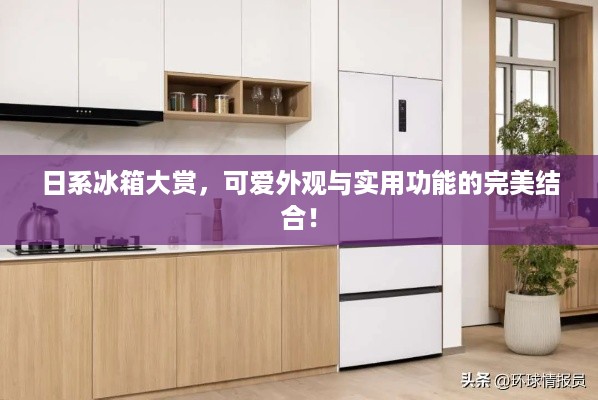 日系冰箱大赏，可爱外观与实用功能的完美结合！
