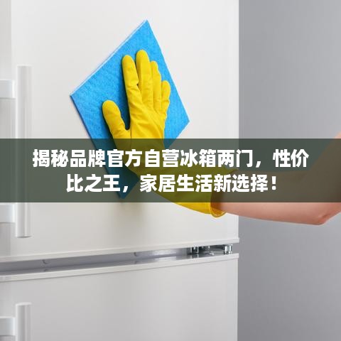 揭秘品牌官方自营冰箱两门，性价比之王，家居生活新选择！