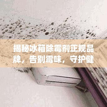 揭秘冰箱除霉剂正规品牌，告别霉味，守护健康生活！