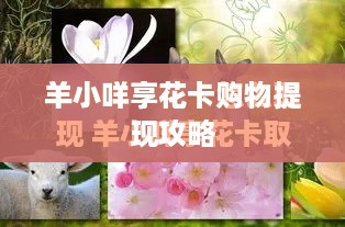 羊小咩享花卡购物提现攻略