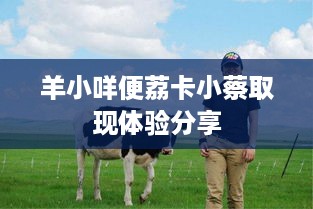羊小咩便荔卡小蔡取现体验分享