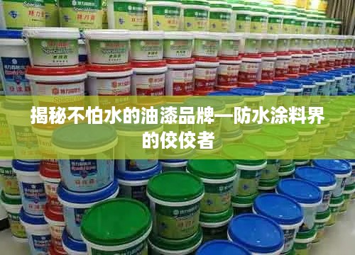 揭秘不怕水的油漆品牌—防水涂料界的佼佼者