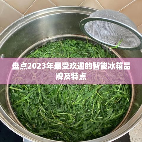 盘点2023年最受欢迎的智能冰箱品牌及特点