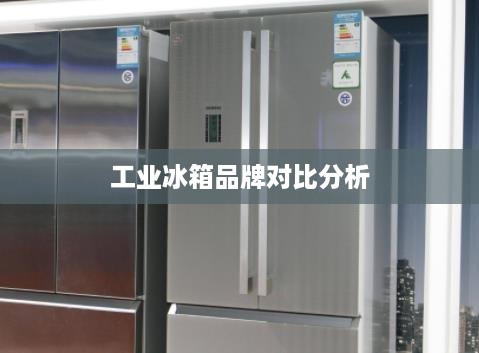 工业冰箱品牌对比分析