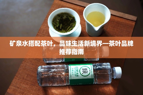 矿泉水搭配茶叶，品味生活新境界—茶叶品牌推荐指南