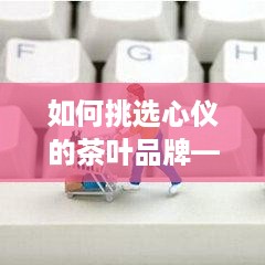 如何挑选心仪的茶叶品牌—实用指南