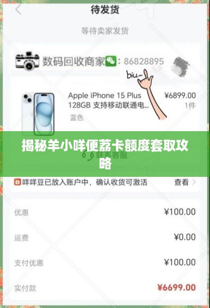 揭秘羊小咩便荔卡额度套取攻略