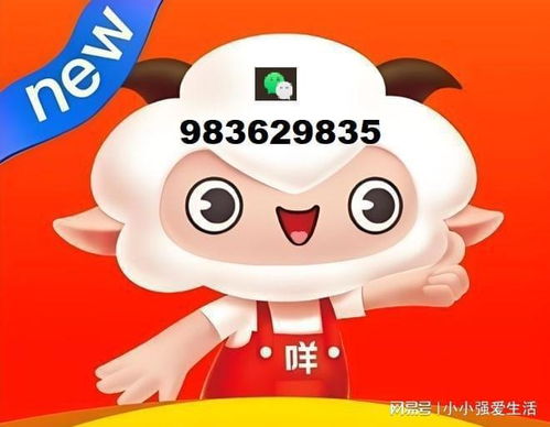 揭秘羊小咩便荔卡额度套取攻略