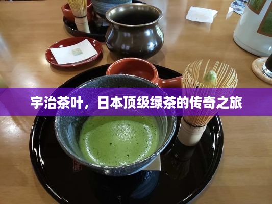 宇治茶叶，日本顶级绿茶的传奇之旅