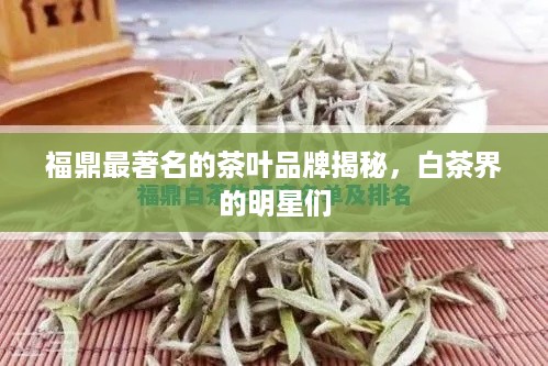 福鼎最著名的茶叶品牌揭秘，白茶界的明星们