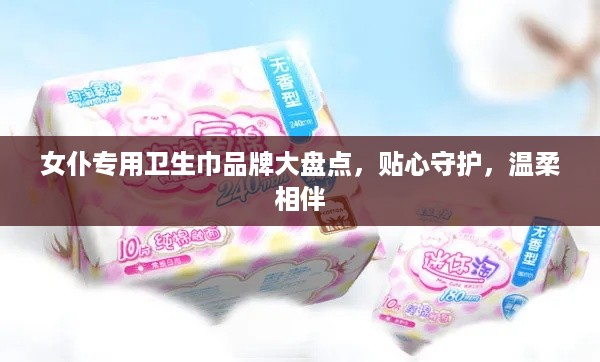 女仆专用卫生巾品牌大盘点，贴心守护，温柔相伴