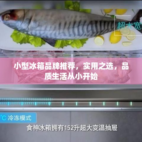 小型冰箱品牌推荐，实用之选，品质生活从小开始