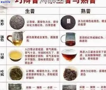 茶叶品牌推荐指南，品味茶香，尽在这一览表中