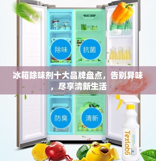 冰箱除味剂十大品牌盘点，告别异味，尽享清新生活