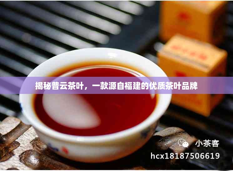 揭秘普云茶叶，一款源自福建的优质茶叶品牌