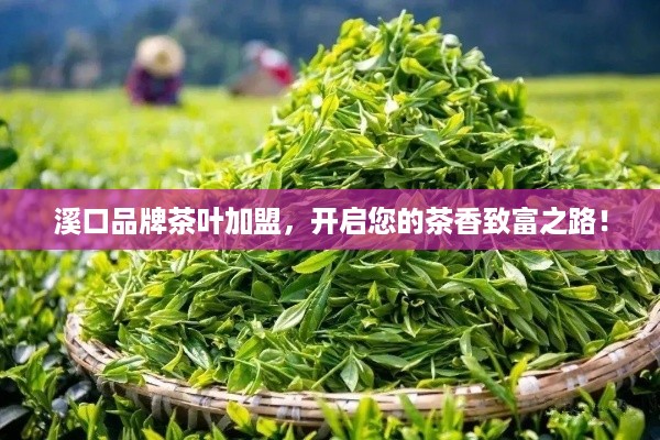 溪口品牌茶叶加盟，开启您的茶香致富之路！