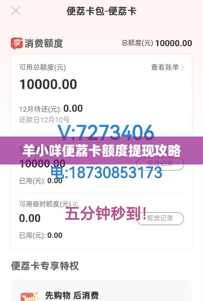 羊小咩便荔卡额度提现攻略
