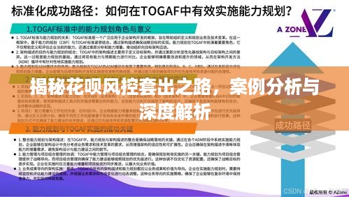 揭秘花呗风控套出之路，案例分析与深度解析
